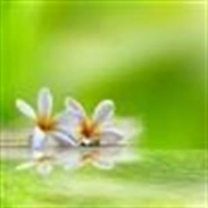 Photo 577921